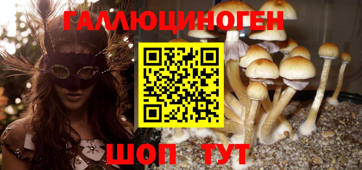 Псилоцибиновые грибы Psilocybe  Вход с VPN  Псилоцибиновые грибы Magic Shrooms  Бор 